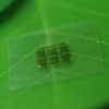 A New Kind of Wood Chip: Collaboration Yields Biodegradable Computer Chips