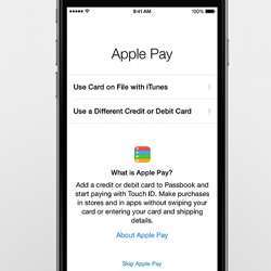 Home screen of the Apple Pay app.