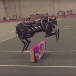 robotic cheetah jumping