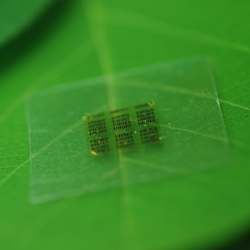 A cellulose nanofibril computer chip rests on a leaf.