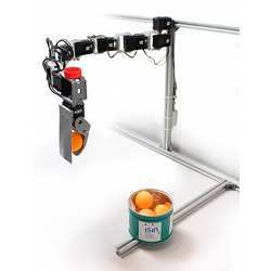 In less than a minute this simple robot figured out how to compensate for a broken joint and complete its task.