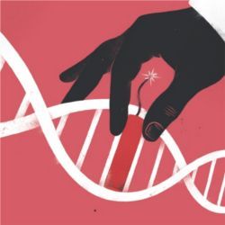 Gene editing