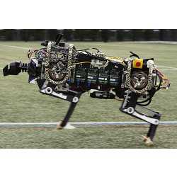 The MIT cheetah robot.