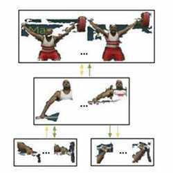 Types of movement that can be identified by the new algorithm.