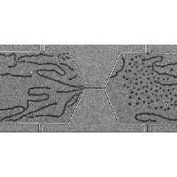 Running a smaller electric current through the system makes the skyrmions move from the left side of this system to the right. :