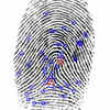 Stuck on You: Research Shows Fingerprint Accuracy Stays the Same Over Time