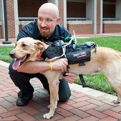 trainer with dog wearing sensor harness