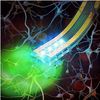 Wireless Device Delivers Drugs to Brain via Remote Control​​