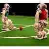 RoboCup World Championship: UNSW Student Engineers Take Robots to China to Defend Title