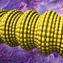 Complex two-dimensional buckling, shown in yellow, of the carbon nanotube sheath/rubber-core fiber. 