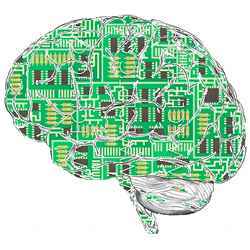 An image of an electronic "brain."