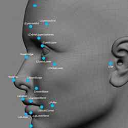 Aspects of facial recognition.