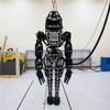 Atlas, a Humanoid Robot, Takes a Walk in the Woods