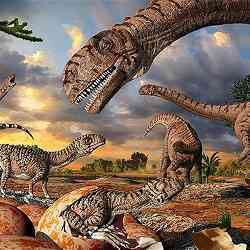 Dinosaurs also suffered a mass extinction.