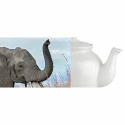 An elephant, and a teapot.