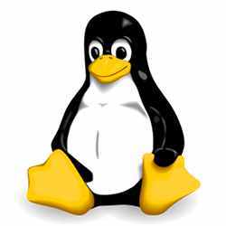 Tux the penguin, the mascot of Linux