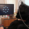 Neural Implant Enables Paralyzed Als Patient to Type Six Words Per Minute