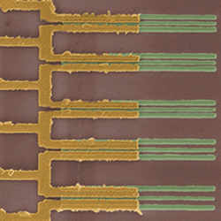 A set of ultra-tiny nanotube transistors made by IBM. 