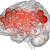 Brain Scans Pinpoint Individuals from a Crowd