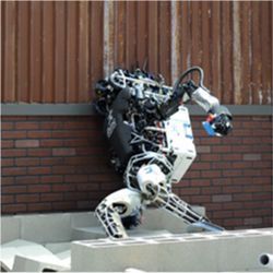 Atlas robot falling