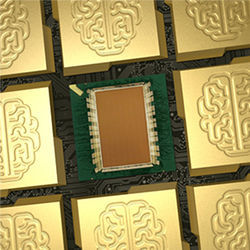 IBM brain-inspired chip