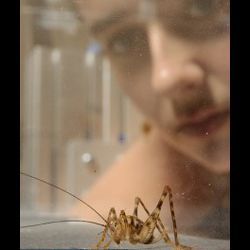 JHU's Emily Palmer and spider cricket