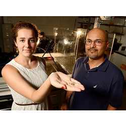 Researchers Emily Palmer and Rajat Mittal, with a cricket.