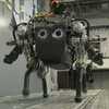 Dog Robot Copes with Rough Terrain