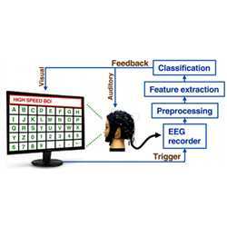 Closed-loop system design of the SSVEP-based BCI speller.