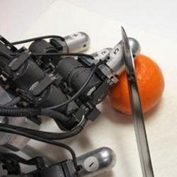 People empathized when a robot hand was menaced with a knife.