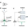 Single Artificial Neuron Taught to Recognize Hundreds of Patterns