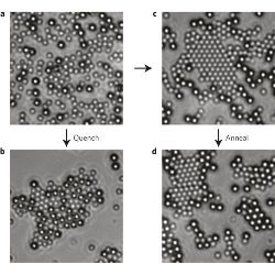 dual colloidal system