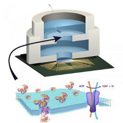 biologically powered chip, illustration