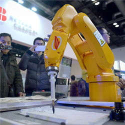 Industrial robot, China