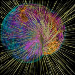 supernova simulation visualization