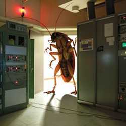 A rather large bug threatens a computer system.