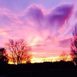 Lots of purple filled the sky over Colts Neck on Sunday, Nov. 22, 2015, during a spectacular sunset. 