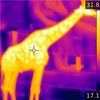 How Thermal Imaging Tech Is About to Become Hot Stuff