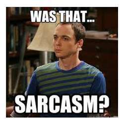 The character Sheldon Cooper on the TV show "The Big Bang Theory" has trouble identifying sarcasm.