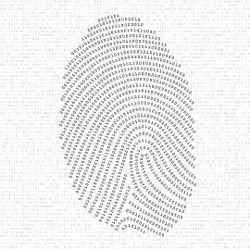 Algebraic Fingerprints for Faster Algorithms, illustration