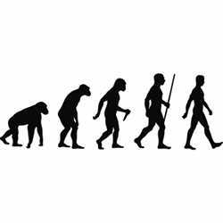 A representation of human evolution.