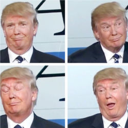 Donald J. Trump from a GIF