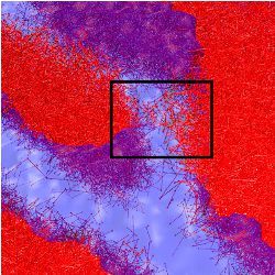 molecule path simulation