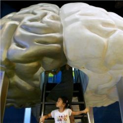 Brain model, Shanghai