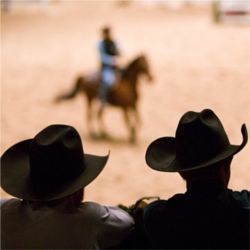 Texas rodeo