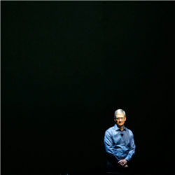 Tim Cook, Apple