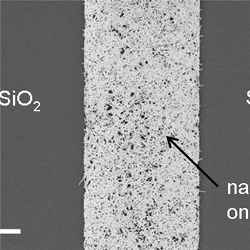 Carbon nanotube substrate