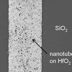 Carbon nanotubes between layers of silicon dioxide.