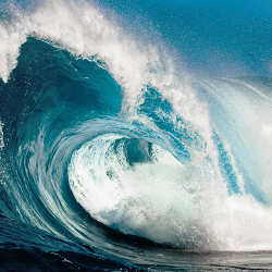 Rogue waves can measure eight times higher than the surrounding seas.