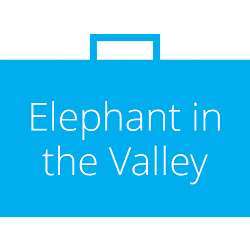 Logo of the Elephant in the Valley survey.